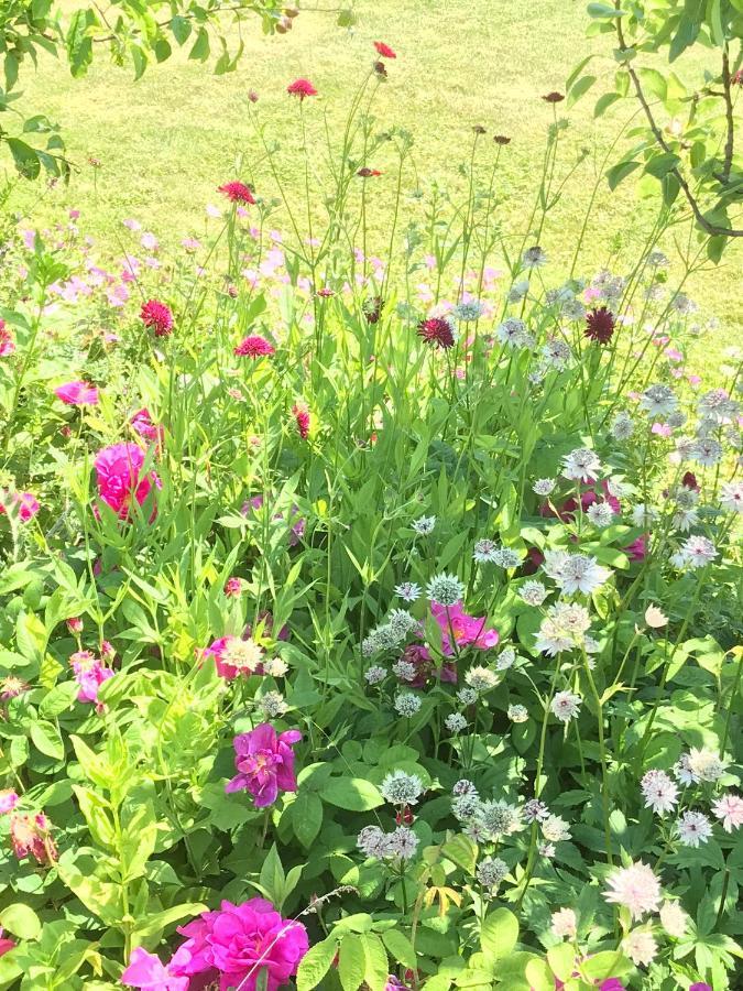 Beryl Country House Wells Luaran gambar