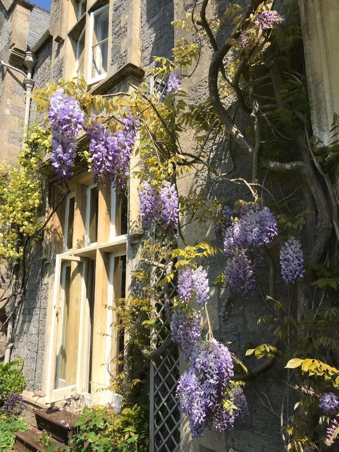 Beryl Country House Wells Luaran gambar